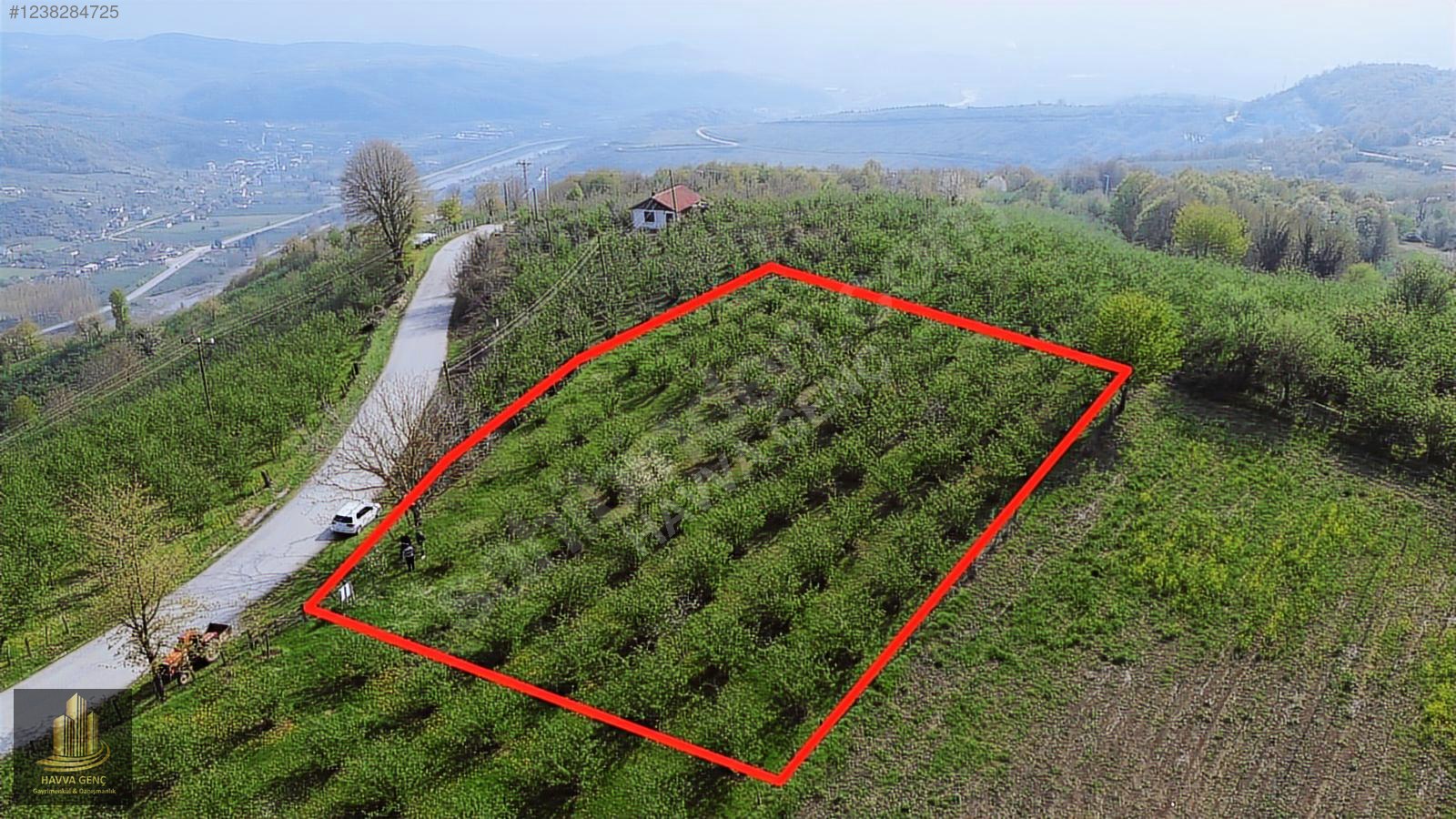 HAVVA GENÇ GYM.DEN NASIRLIDA MUHTEŞEM MANZARALI VİLLALIK ARSA